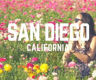 local-travel-tips-for-san-diego-california