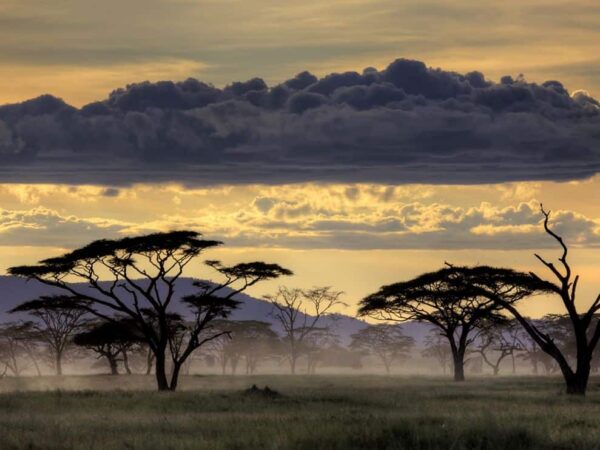 local travel tips for tanzania