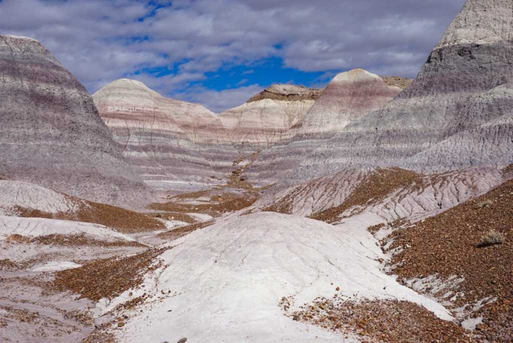 the-petrified-forest-national-park-in-arizona-USA