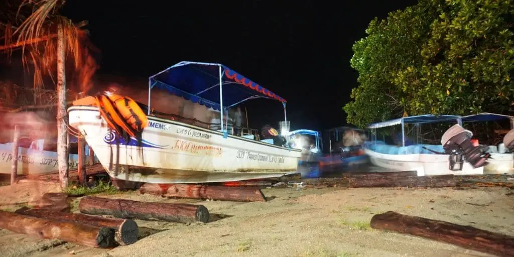 boats on the shore at night at the laguna de manialtepec in puerto escondido