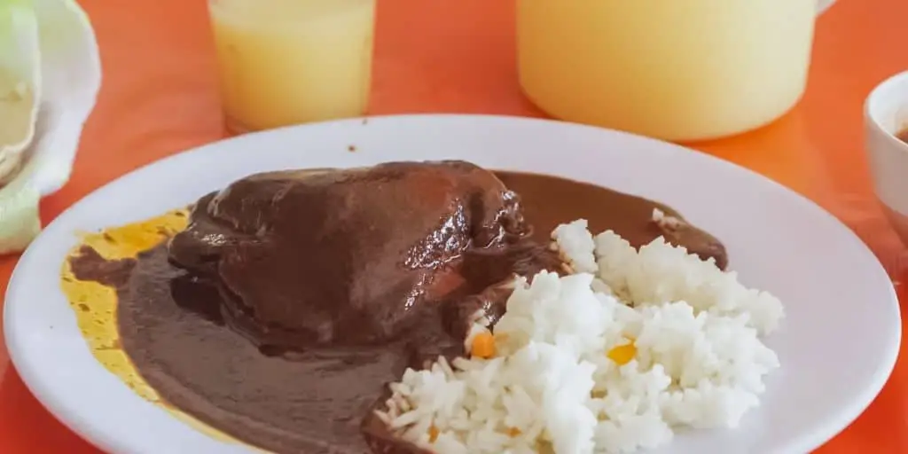 traditional oaxacan cuisine called mole negro at Las Juquilenas in puerto escondido