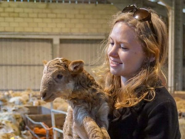 holding a baby sheep at the Basque farm Adarrazpi in Gipuzkoa