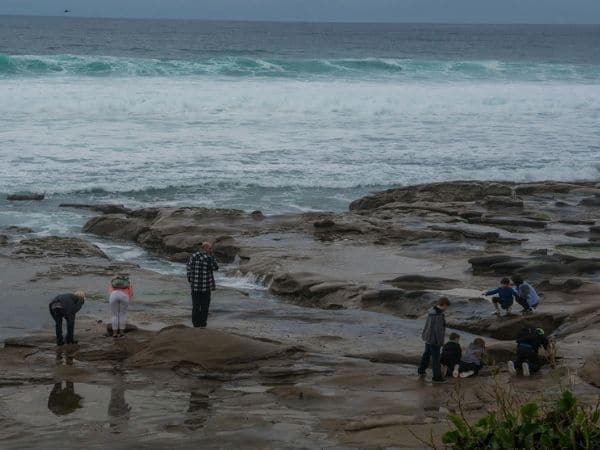 tide pooling at national monument in San Diego California